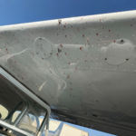Cessna 172 – Post Flight Post Bird Strike