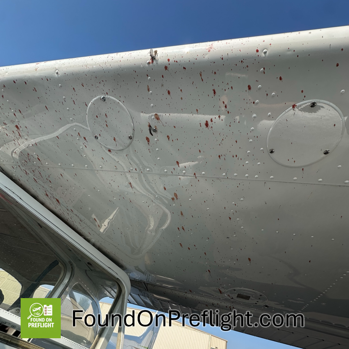 C172 post flight post bird strike