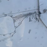 Cessna 172 – Cowling Fretting