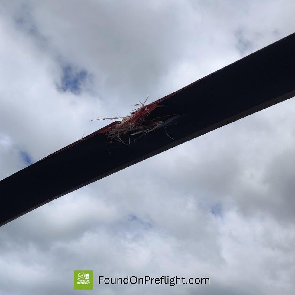 Bell 407 main rotor damage from tool left on another helicopter's rotorhead