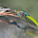 Robinson R22 – Fuel Leak